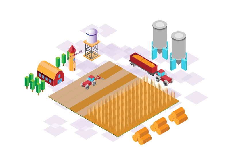 Izometrijska vektorska grafika koja prikazuje polje žita u obradiIzometrijska vektorska grafika koja prikazuje polje žita u obradi