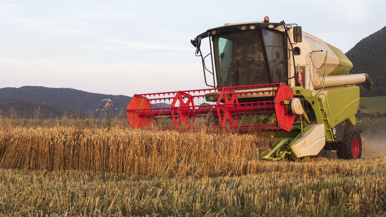 Kombajn za žetvu na polju pšenice