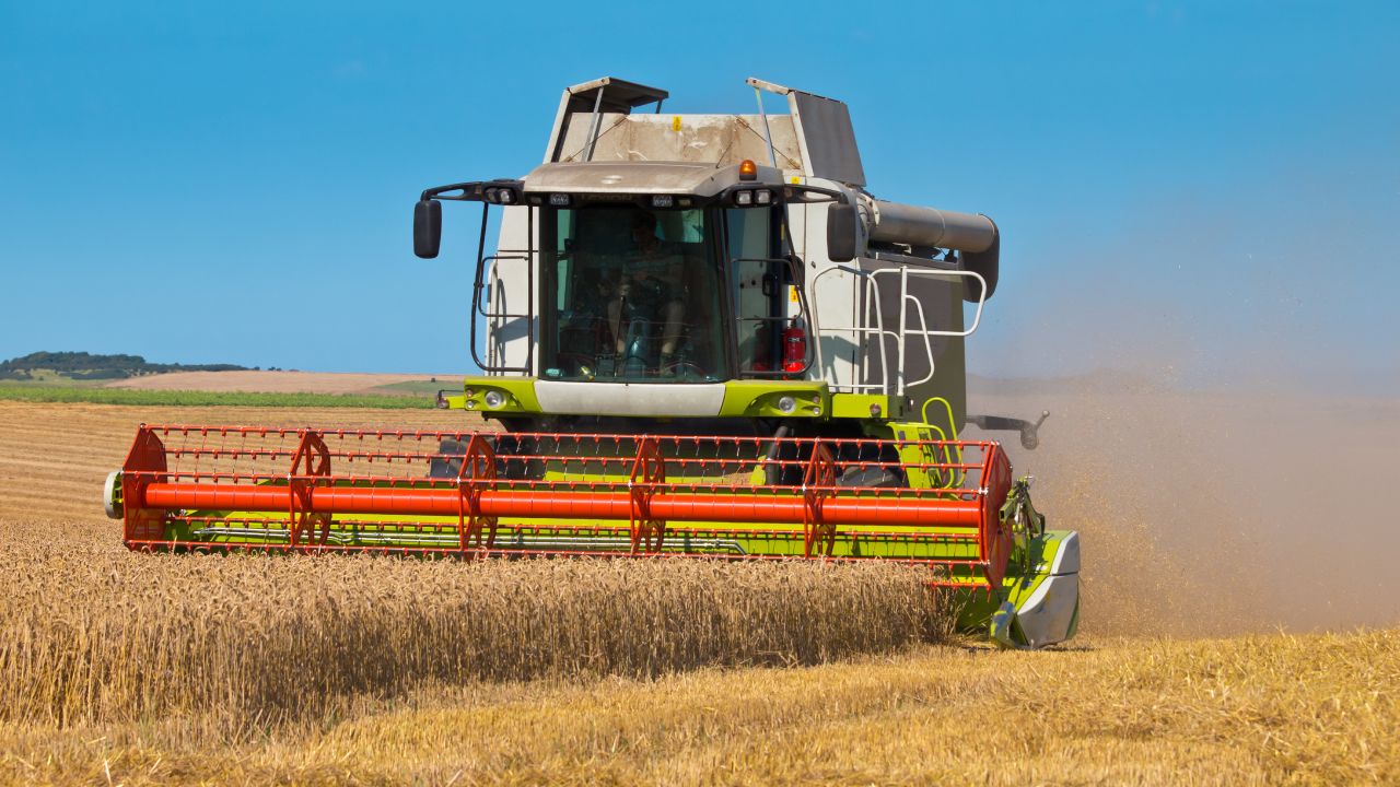 Žetva polja pšenice kombajnom