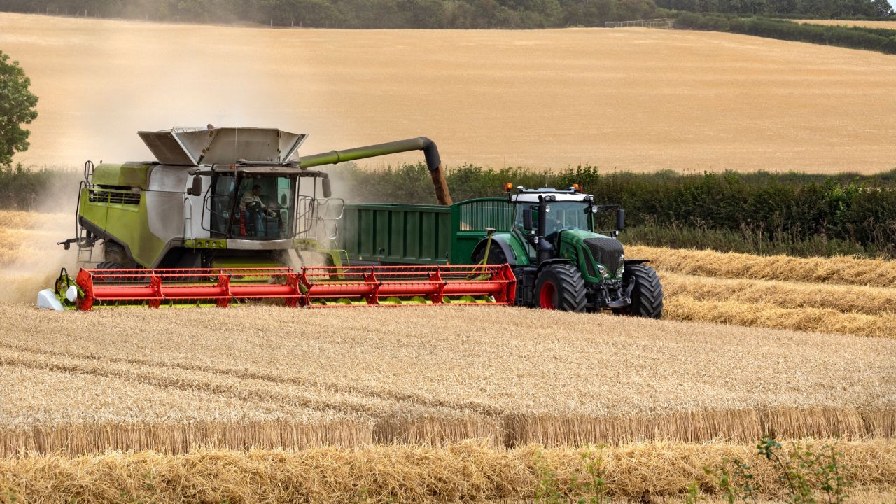 žetveno pšenično polje s kombajnom